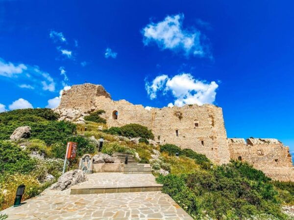 Rhodes: Butterflies Valley, Castle, Prasonisi & Wine Village - Visitor Reviews and Feedback