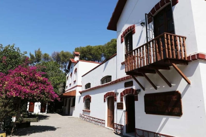 Rhodes: Butterfly Valley and Filerimos Hill Bus Trip - Who Would Enjoy This Tour?