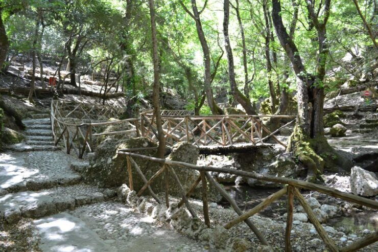 Rhodes: Filerimos Hill and Butterflies Valley-Small Group - Experience Highlights