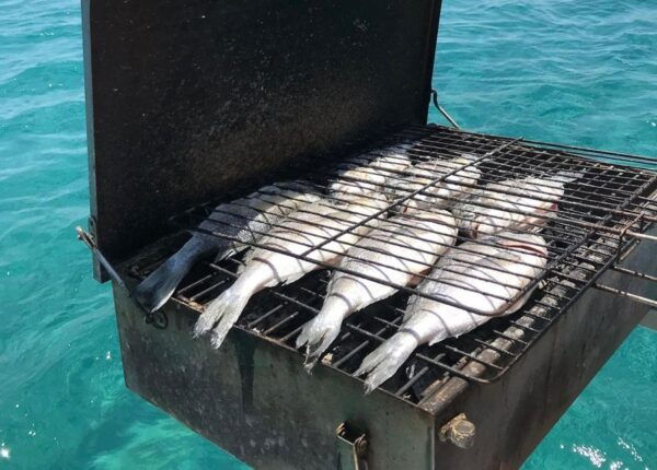 Rhodes: Fishing Boat Trip (Small Group, Food & Drinks Incl.) - The Sum Up