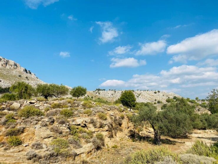 Rhodes: Guided Hike to 7 Springs From Archangelos - Experience Highlights