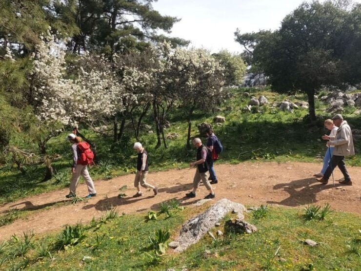 Rhodes: Hike Mountain Profitis Ilias From Salakos Village - Activity Details