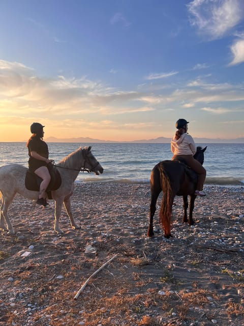 Rhodes: Horseback Riding Trip With Digital Photos - Good To Know