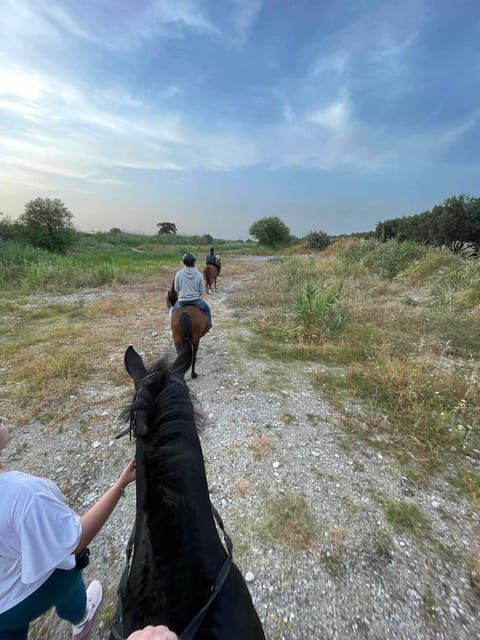 Rhodes: Horseback Riding Trip With Digital Photos - Customer Reviews