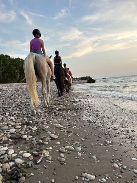 Rhodes: Horseback Riding Trip With Digital Photos - Tips for Participants