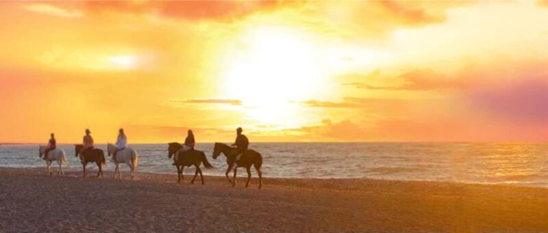 Rhodes Island: Horseback Riding at the Beach During Sunset - Good To Know