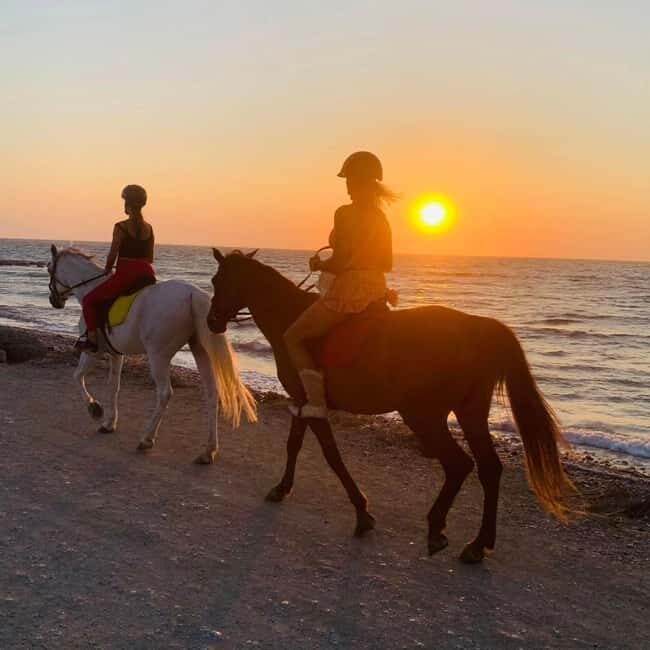 Rhodes Island: Horseback Riding at the Beach During Sunset - Exploring the Experience in Detail