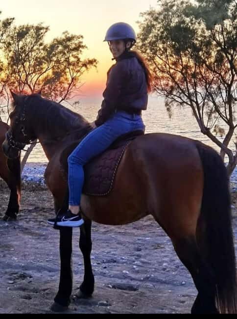 Rhodes Island: Horseback Riding at the Beach During Sunset - Who Will Love This Experience?