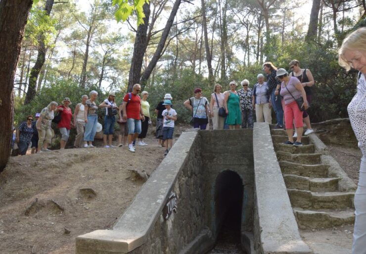 Rhodes: Island Tour by Bus - Good To Know