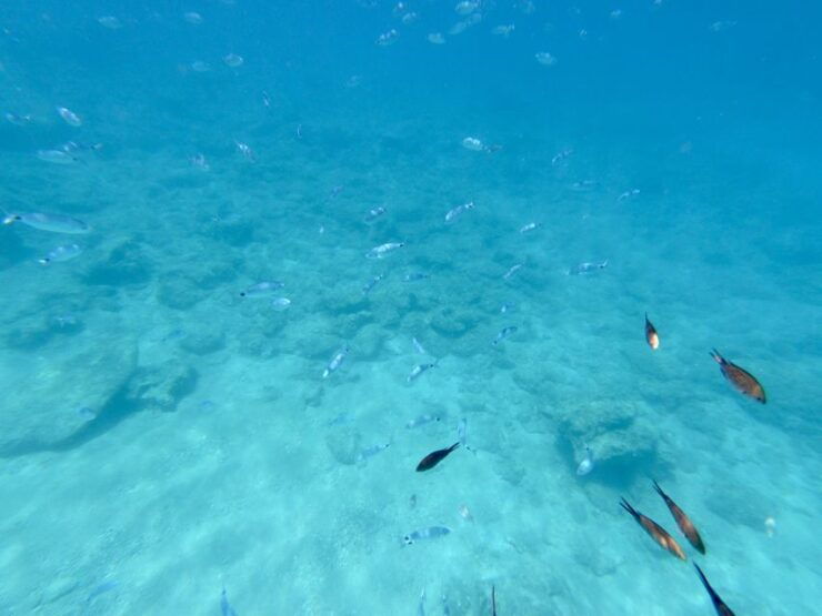 Rhodes: Luxury RIB All-Inclusive Swimming Cruise to 3 Bays - Activity Details