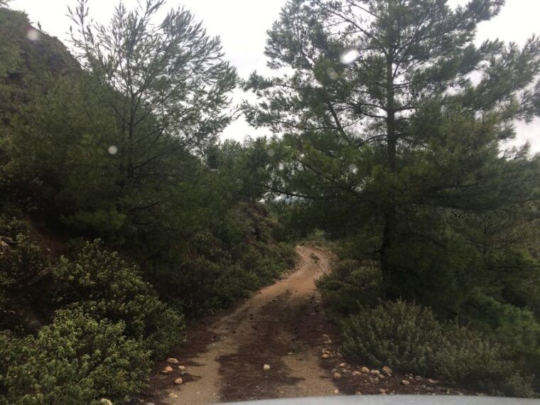 Rhodes North Safari: Hidden Paths & Scenic Flavors - Value Analysis