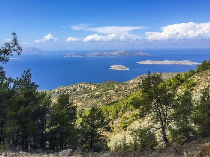 Rhodes North Safari: Hidden Paths & Scenic Flavors - The Sum Up: Is This Tour Right for You?