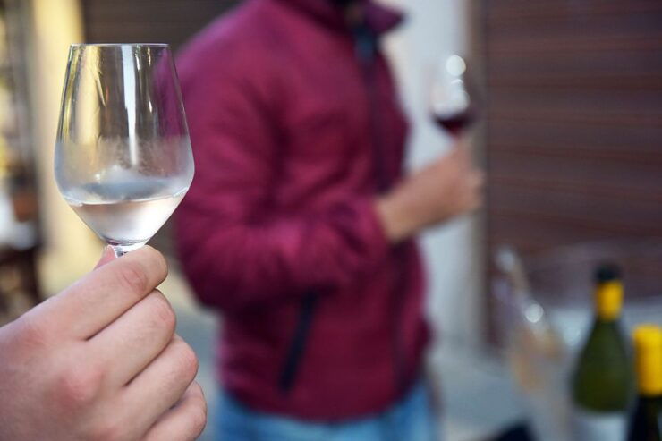 Rhodes: Private Wine Tasting Experience for Beginners - Activity Details