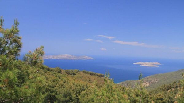 Rhodes: Safari With Experienced Driver - South Pick Ups - Customer Reviews and Testimonials
