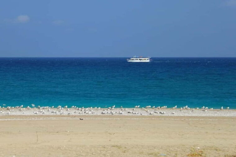 Rhodes: Safari with our driver - North - Pick ups East Coast - Who Should Book This Tour?