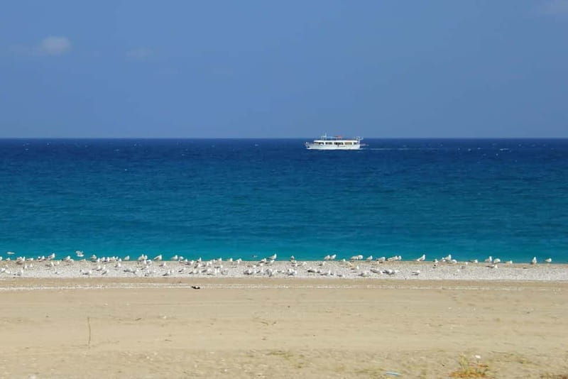 Rhodes: Safari with our driver - North - Pick ups West Coast - Who Will Love This Tour?