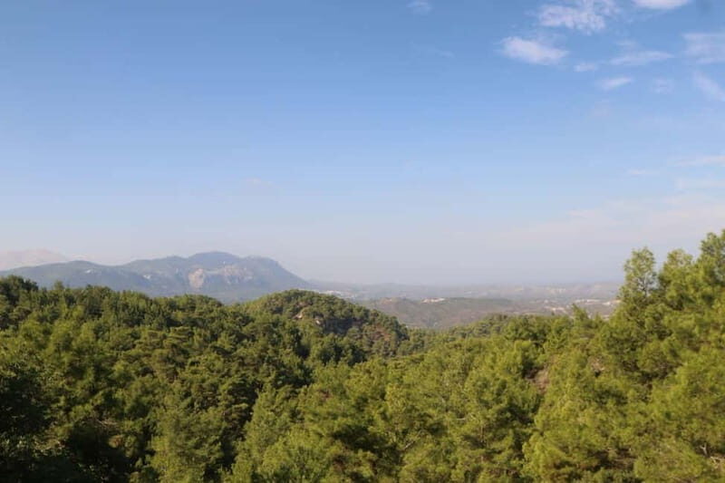 Rhodes: Safari with our driver - North - Pick ups West Coast - An In-Depth Look at the Rhodes Safari Tour