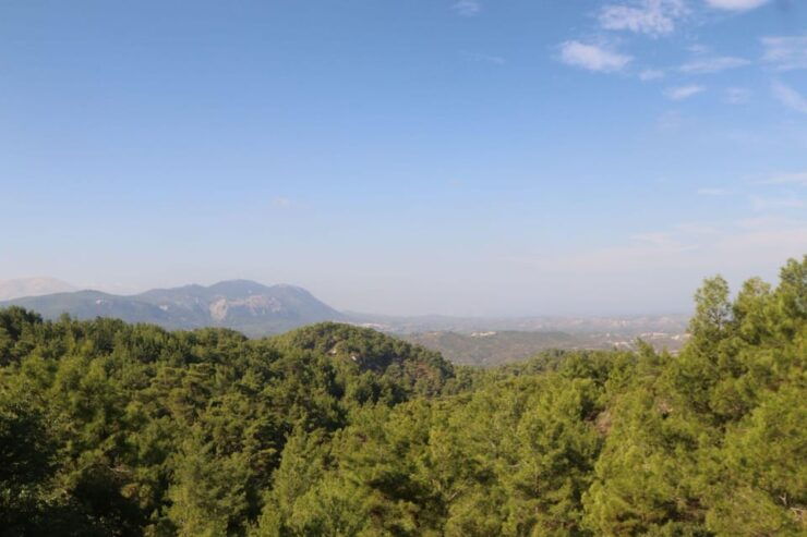 Rhodes: Safari With Our Driver - North - Pick Ups West Coast - Vehicle and Comfort Features