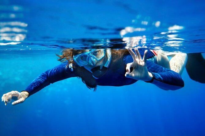 Rhodes Scuba Diving Experience - The Actual Dive: What Youll See and Feel