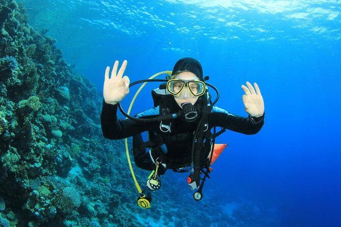 Rhodes Scuba Diving Experience - What You Need to Know