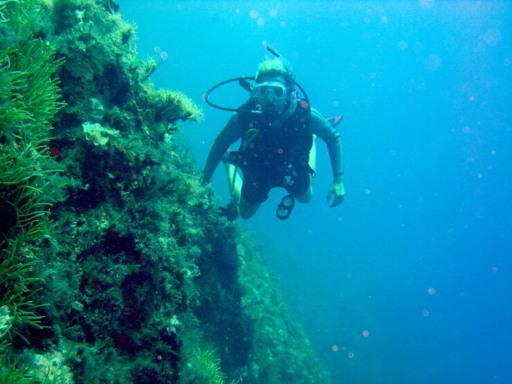 Rhodes: Scuba Diving Tour for Experienced and Beginners - Activity Details