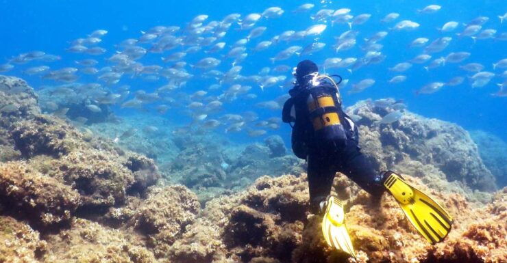 Rhodes: Scuba Diving Tour for Experienced and Beginners - Diving Experience