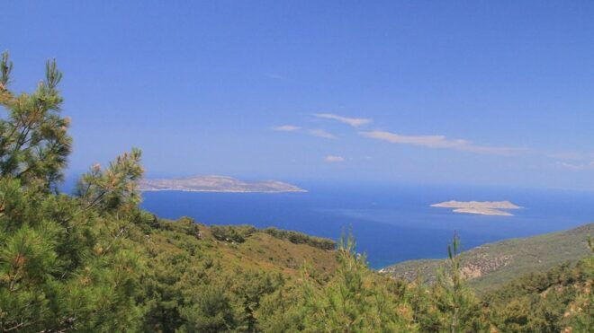 Rhodes: Self Drive 4x4 Safari - Pick Ups South - Safari Description