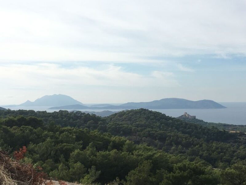 Rhodes South Safari: Mountains & Local Flavors - Good To Know