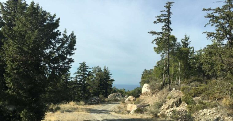 Rhodes South Safari: Mountains & Local Flavors - Authentic Experiences from Past Travelers