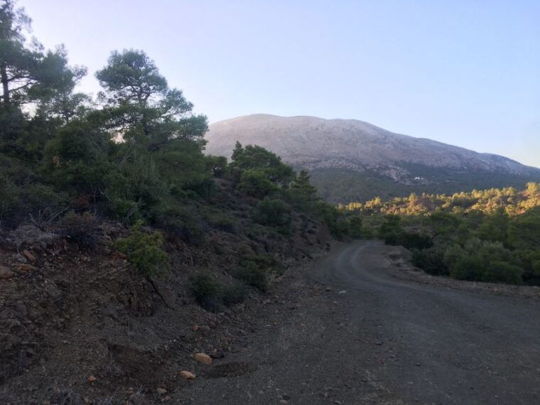 Rhodes South Safari: Mountains & Local Flavors - Who Is This Tour Best For?