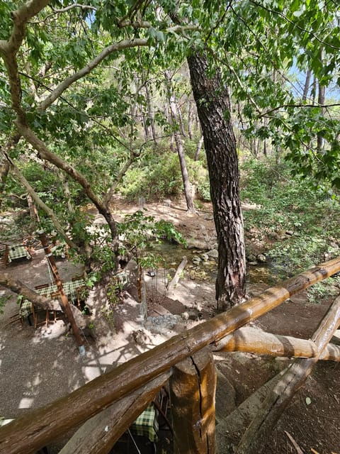 Rhodes Tour Safari - Good To Know