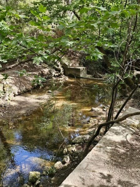 Rhodes Tour Safari - Wine Tasting Experience