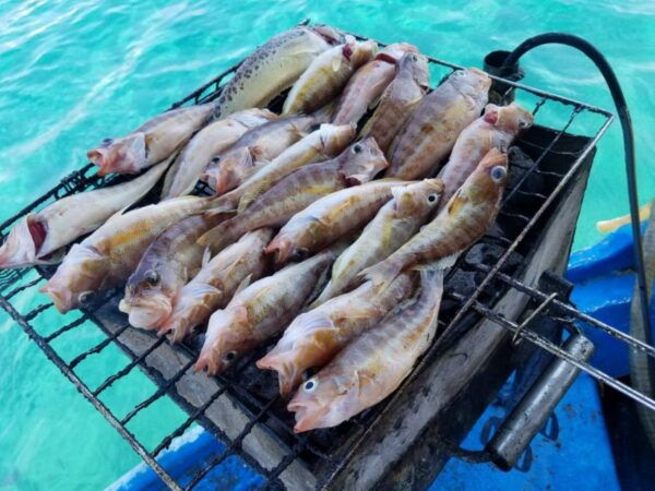 Rhodes Town: Fishing Boat Trip With Fish Meal and Swim Stops - The Sum Up