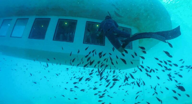 Rhodes Town: Submarine Cruise with Underwater Views - Final Verdict: Who Will Love This?