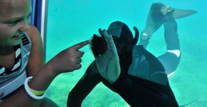Rhodes Town: Yellow Submarine Cruise With Underwater Views - Itinerary