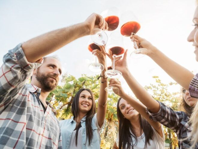 Rhodes: Winery Tour and Tasting Experience - The Sum Up