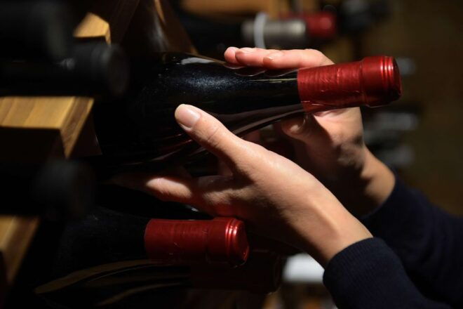 Rhodian Wines - Private Wine Tasting Under a Sommelier - Itinerary and Meeting Point