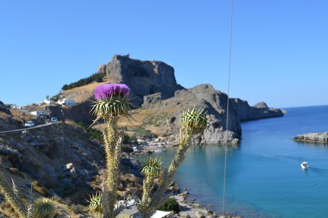 Rhodos-Vip: Guided Tour to Lindos Village + Butterflies Valley - Location and Features