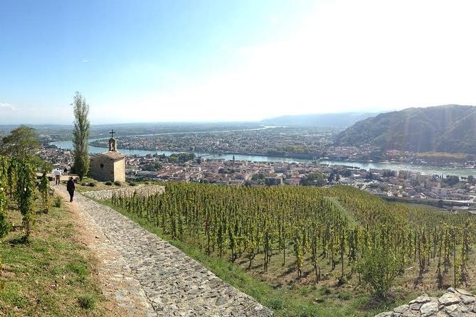 Rhône Valley Wine & Chocolate Tasting Private Day Tour From Lyon - Tour Highlights