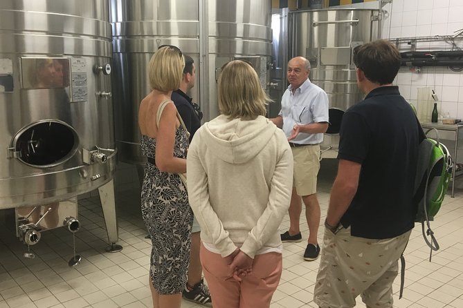 Rhone Wine Lovers Tasting Day Tour From Lyon With Private Driver - Tour Inclusions and Exclusions
