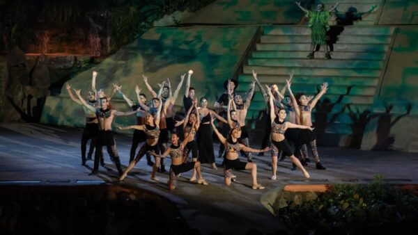 Rhythms of the Night Buffet and Show -Puerto Vallarta - Customer Feedback