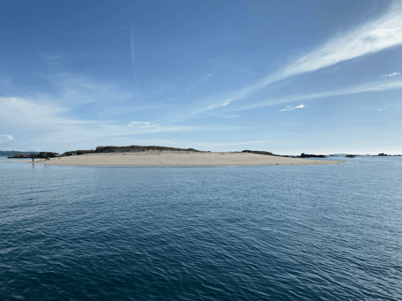 Ría De Arousa: Daytime or Sunset Sailboat Cruise With Drinks - Good To Know
