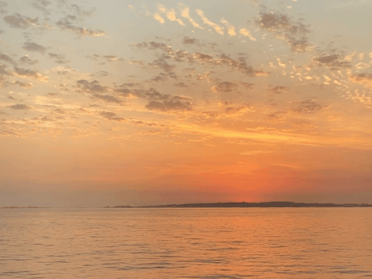 Ría De Arousa: Daytime or Sunset Sailboat Cruise With Drinks - Passport and Insurance Details