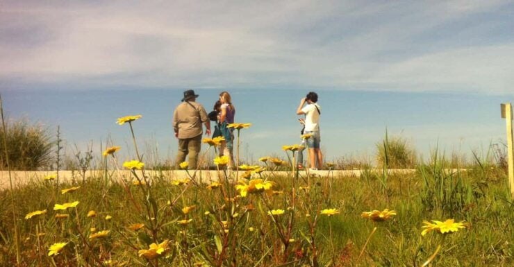 Ria De Aveiro Inn Nature Full-Day Private Tour up to 4 Pax - Itinerary Details