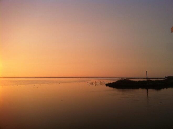 Ria De Aveiro Inn Nature Full-Day Private Tour up to 4 Pax - Included Services