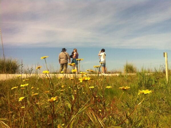 Ria De Aveiro Inn Nature Full-Day Private Tour up to 4 Pax - Meeting Location