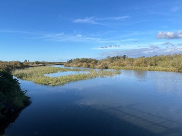 Ria De Aveiro Inn Nature Full-Day Private Tour up to 4 Pax - Additional Considerations