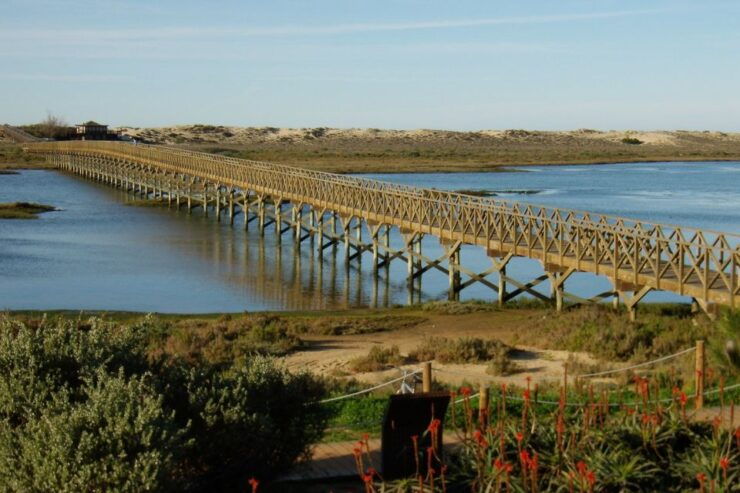 Ria Formosa 3-Hour Bike Tour - Good To Know