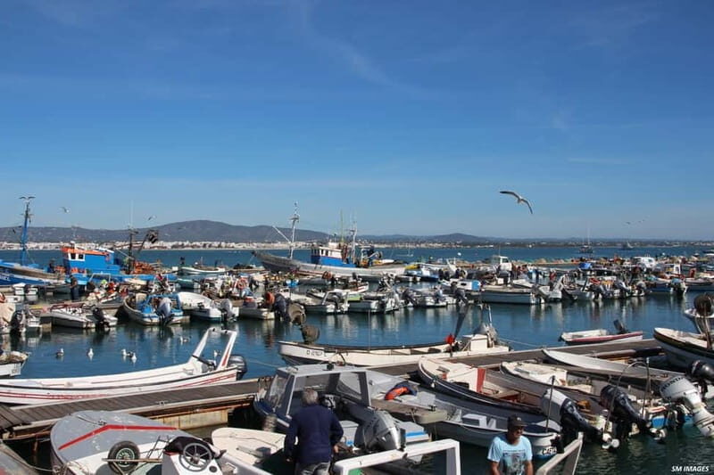 Ria Formosa 3 Islands Guided Day Trip by Boat - Olhão - FAQ