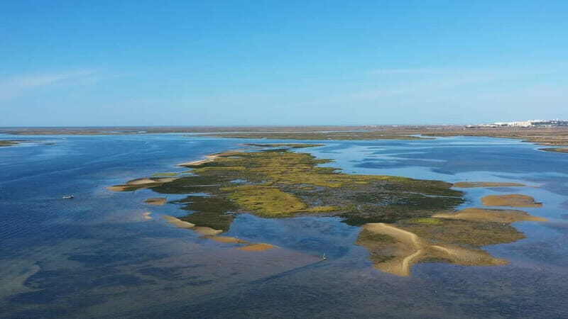 Ria Formosa: Armona and Culatra Islands 3-Hour Boat Tour - An In-Depth Look at the Ria Formosa Boat Tour